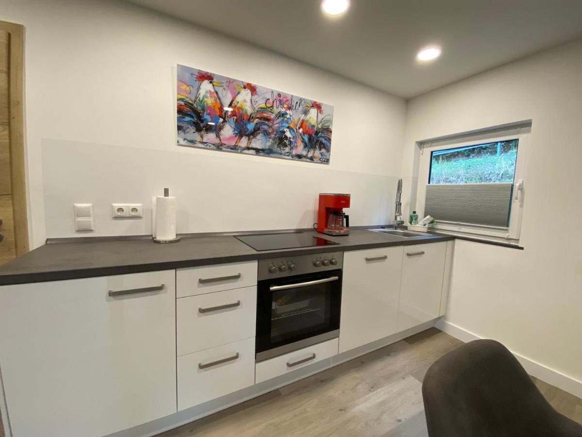 Apartmán Haus Am Iberg 4 Willingen  Exteriér fotografie